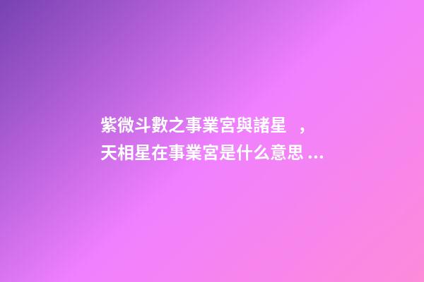 紫微斗數之事業宮與諸星，天相星在事業宮是什么意思？